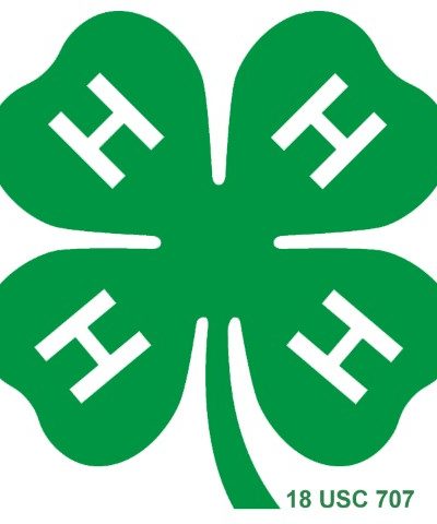 4H Clover Logo 